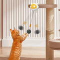 Automatic Lifting Cat Toy Ball Interactive Cat Ball Toy Electric Lifting Pet Toy Smart Pet Cat Ball Toys Cat Accessories