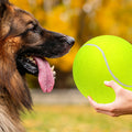 9.5‘ Oversize Giant Tennis Balls Inflatable Tennis Ball with Pump Dog Toy Balls For Signature Children Adult Pets Dogs Cats Fun