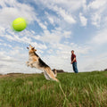9.5‘ Oversize Giant Tennis Balls Inflatable Tennis Ball with Pump Dog Toy Balls For Signature Children Adult Pets Dogs Cats Fun