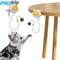 Automatic Lifting Cat Toy Ball Interactive Cat Ball Toy Electric Lifting Pet Toy Smart Pet Cat Ball Toys Cat Accessories