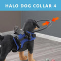 Blind Dog Harness Guiding Device Pet Safe Lightweight Adjustable Blind Dog Collar Blind Dog Accessory Safety Comfortable Bumper
