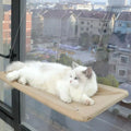 Pet Cat Hammock Aerial Cats Bed House Kitten Climbing Frame Sunny Window Seat Nest Bearing 20kg Hanging Cat Bed Pet Accessories