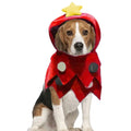 Christmas Dog Clothes Christmas Cat Dog Clothes Buckle-up Kitten Dress Up Skin-Friendly Winter Apparel For Small To Large Pets