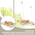 Pet Cat Hammock Aerial Cats Bed House Kitten Climbing Frame Sunny Window Seat Nest Bearing 20kg Hanging Cat Bed Pet Accessories