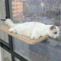 Pet Cat Hammock Aerial Cats Bed House Kitten Climbing Frame Sunny Window Seat Nest Bearing 20kg Hanging Cat Bed Pet Accessories