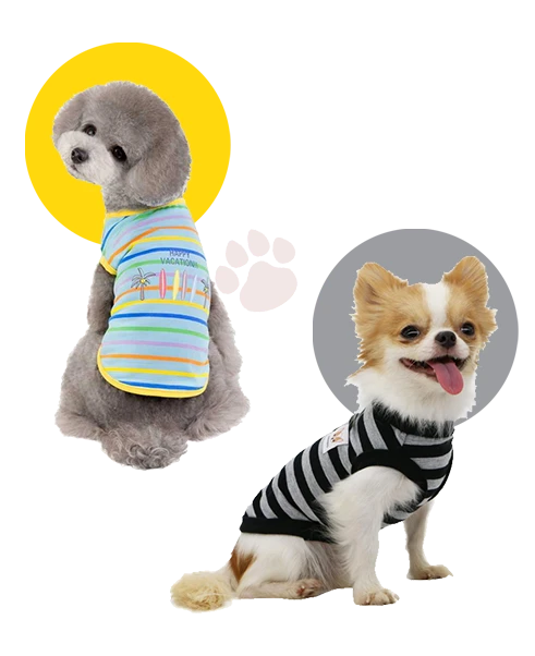 slider images
