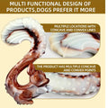 Durable Beef Flavor Rabbit Squirrel Crab Shaped Dog Chew Toy Nylon Dental Health Molar Toy Dog Interactive Chew supplies
