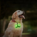 for Bright Pendant Night Running Waterproof Safety Dogs Decor Spotlight Pet Glow Lights Light Accessories Dogs Luminous Dog