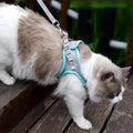 Cat Harness Leash Set Adjustable Dog Cat Collar for French Bulldog Harness Vest Puppy Chihuahua Pet Outdoor Walking Lead Leash