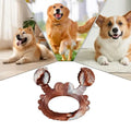 Durable Beef Flavor Rabbit Squirrel Crab Shaped Dog Chew Toy Nylon Dental Health Molar Toy Dog Interactive Chew supplies