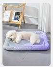 Ice Silk Pet Cooling Bed/Ice Pad, Summer Cooling Essential, Cozy Sleeping Bed for Cats and Dogs