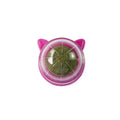 Cats Catnip Cat Toy Natural Ball Removal  Cat Grass Treats to Improve Digestion Wall Sticker Scratch Itchy Treat Healthy Supplie